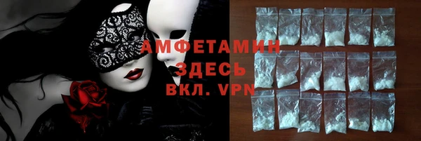 МДПВ Снежногорск