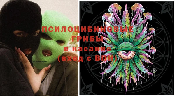 индика Алексеевка