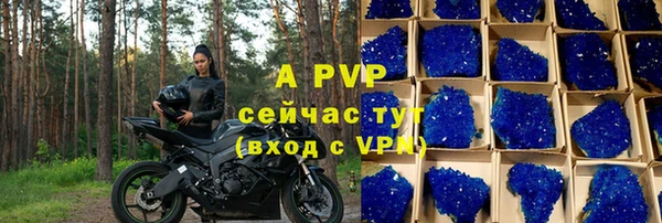 индика Алексеевка