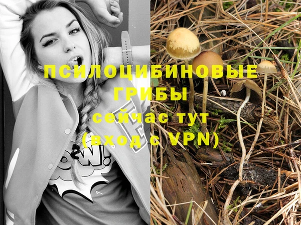 ALPHA PVP Алзамай