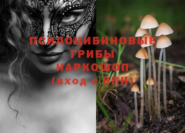 ALPHA PVP Алзамай
